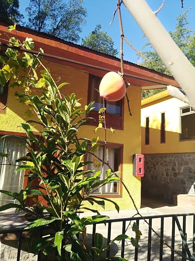 Refugio Coyoacan Villa Guayacan  Ngoại thất bức ảnh